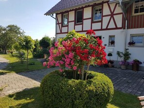 Habitación Deluxe doble, balcón, vistas al jardín | Jardines del alojamiento