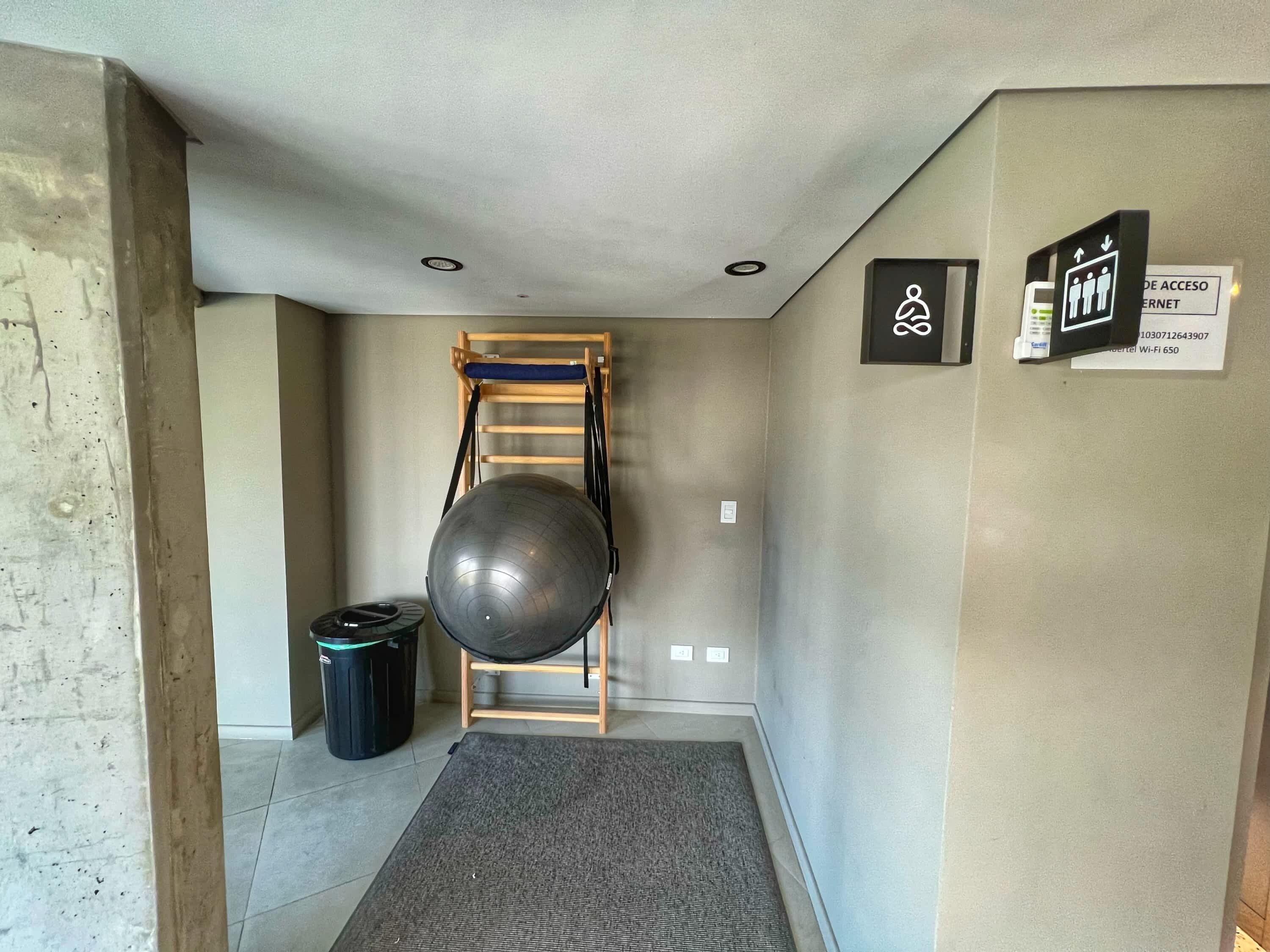Une pièce équipée d’une barre de traction, d’un grand ballon d’exercice, d’une poubelle et d’un tapis.