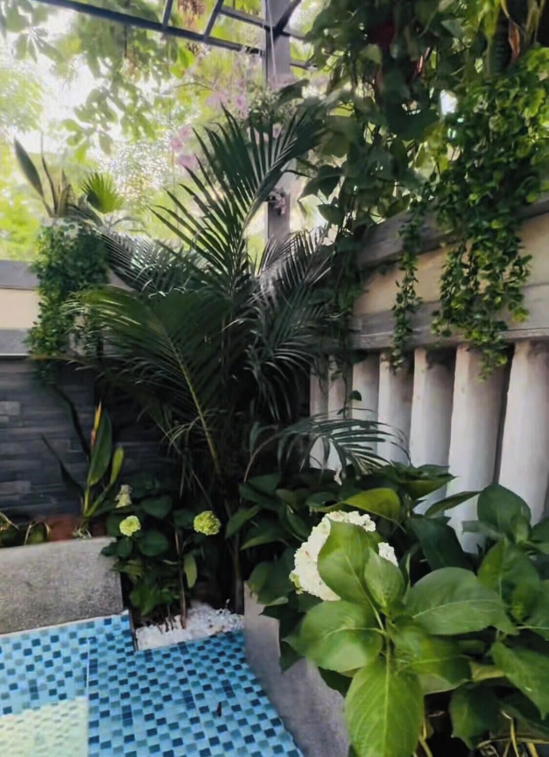 A garden area with a variety of plants and a tiled floor.
