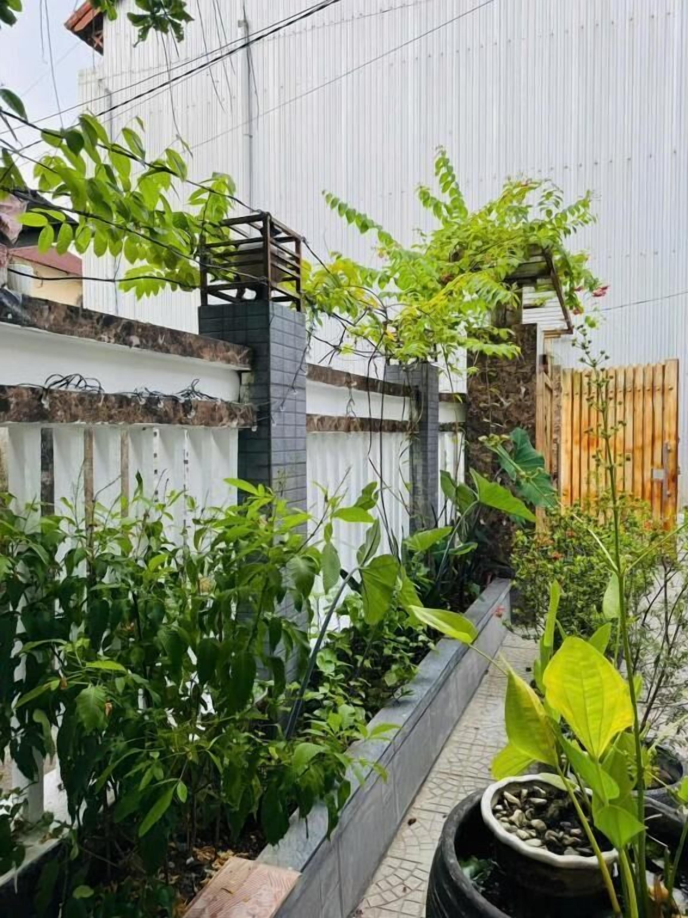 Dortoir Partagé, balcon, vue jardin | Enceinte de l’hébergement