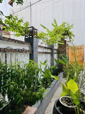 Dormitori compartit, balcó, vistes al jardí | Àrea exterior de l'allotjament