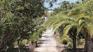 Terrein van de accommodatie