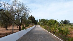 A paved pathway flanked by trees and grapevines, leading into a natural landscape. - Country House 'Quinta Da Eira' with Private Pool, Wi-Fi and Air Conditioning (Lagoa)
