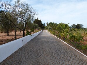 Property grounds - Country House 'Quinta Da Eira' with Private Pool, Wi-Fi and Air Conditioning (Lagoa)