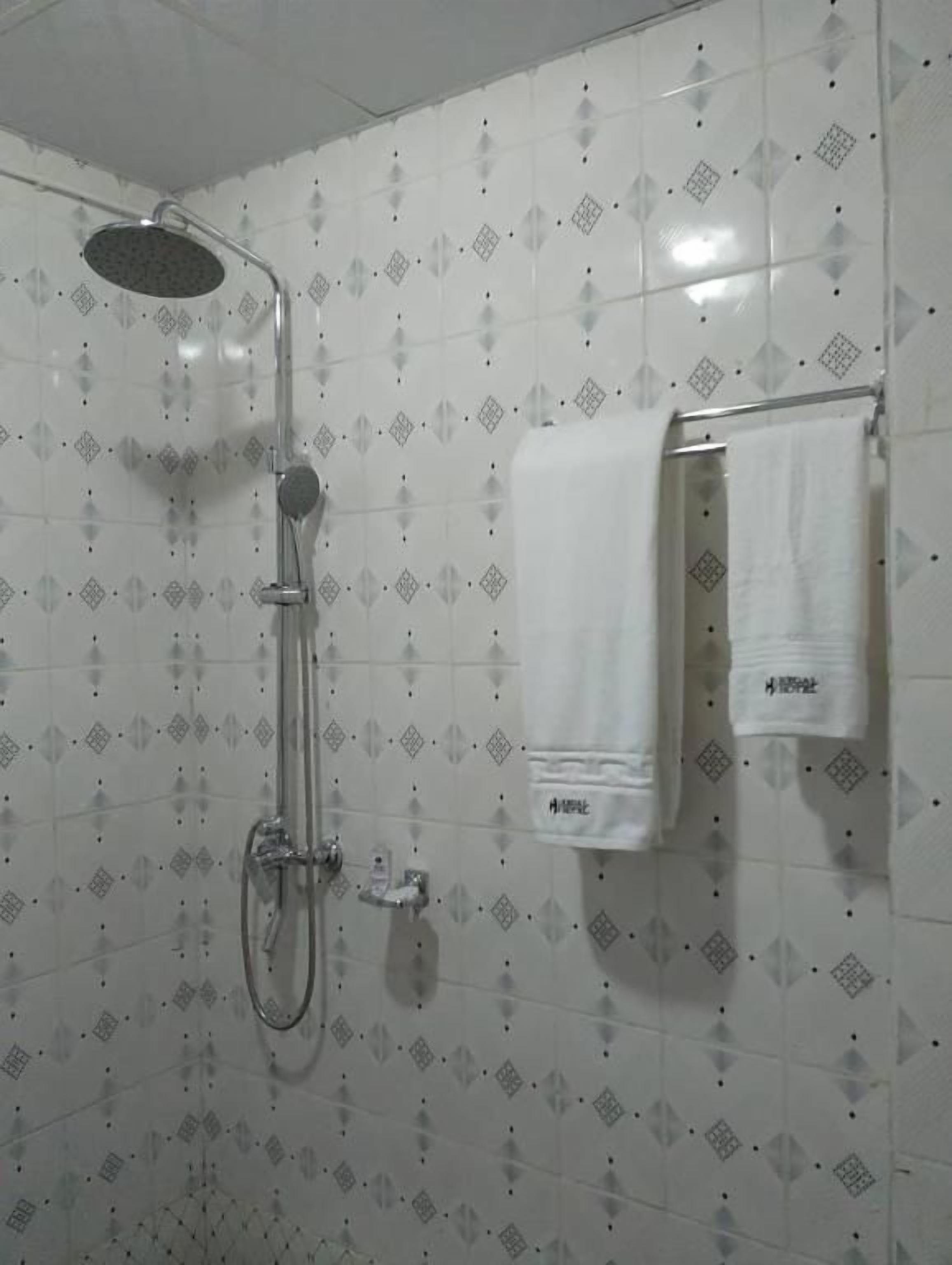 A shower with a handheld showerhead and a wall-mounted towel rack with two towels.