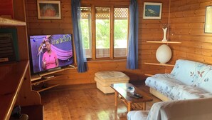 A wooden cabin interior with a television, sofa, and wooden flooring.