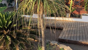 A palm tree in a garden area with a wooden deck and a building with a lattice facade in the background.