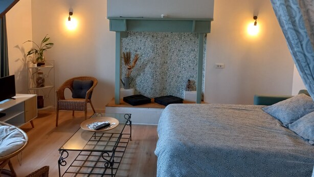 Een gezellige kamer met een bed, een stoel, een klein tafeltje en een wandplank met planten.