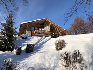 Exterior - Vrbo Property (Ovronnaz)