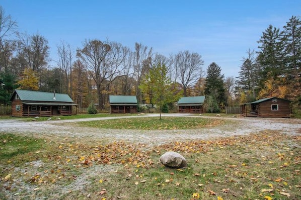 A row of log cabins with green roofs, surrounded by a grassy area with scattered leaves, and dense trees in the background.