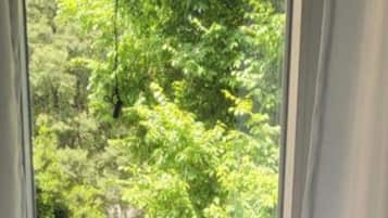 Comfort Room, Street View | View from room