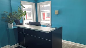 Una habitación con paredes verde azulado, un escritorio negro con una computadora portátil, dos ventanas y una planta en maceta.