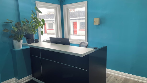 A room with teal walls, a black desk with a laptop, two windows, and a potted plant. - OSHAWA INN MOTEL (Oshawa)