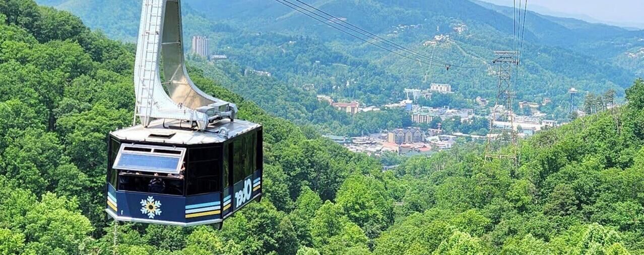 A cable car with a solar panel and a flower design, suspended over a forested landscape.