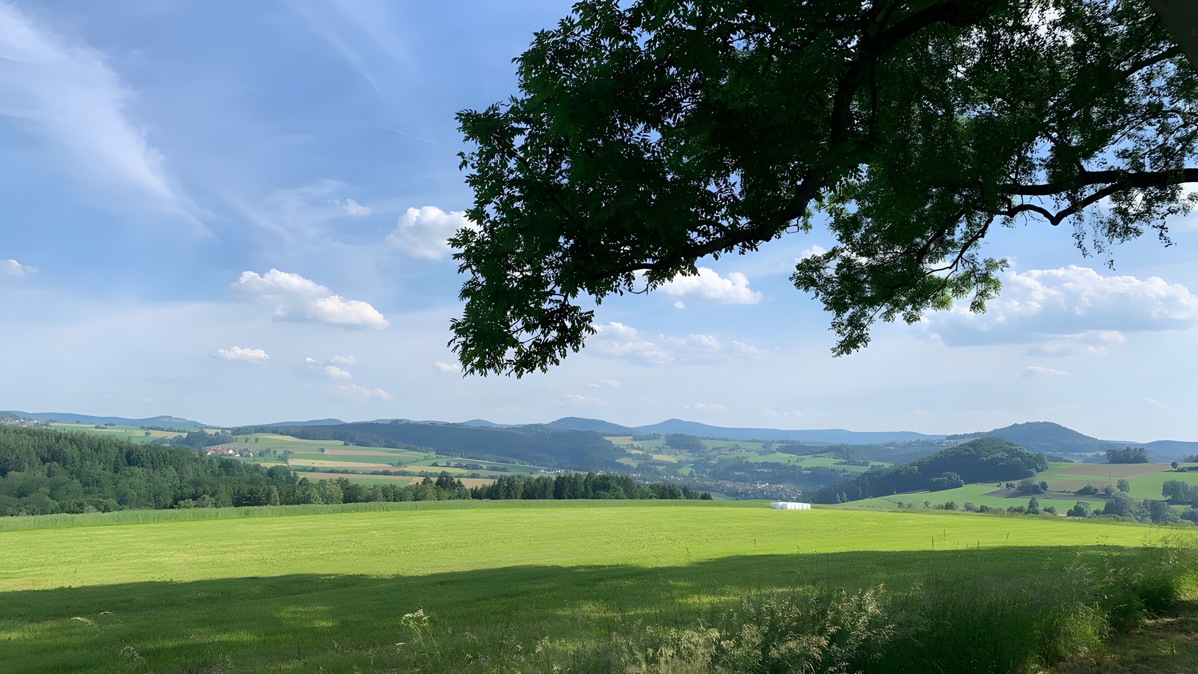 Ein weitreichender Blick über ein grünes Feld mit sanften Hügeln in der Ferne und einem wolkenlosen Himmel.