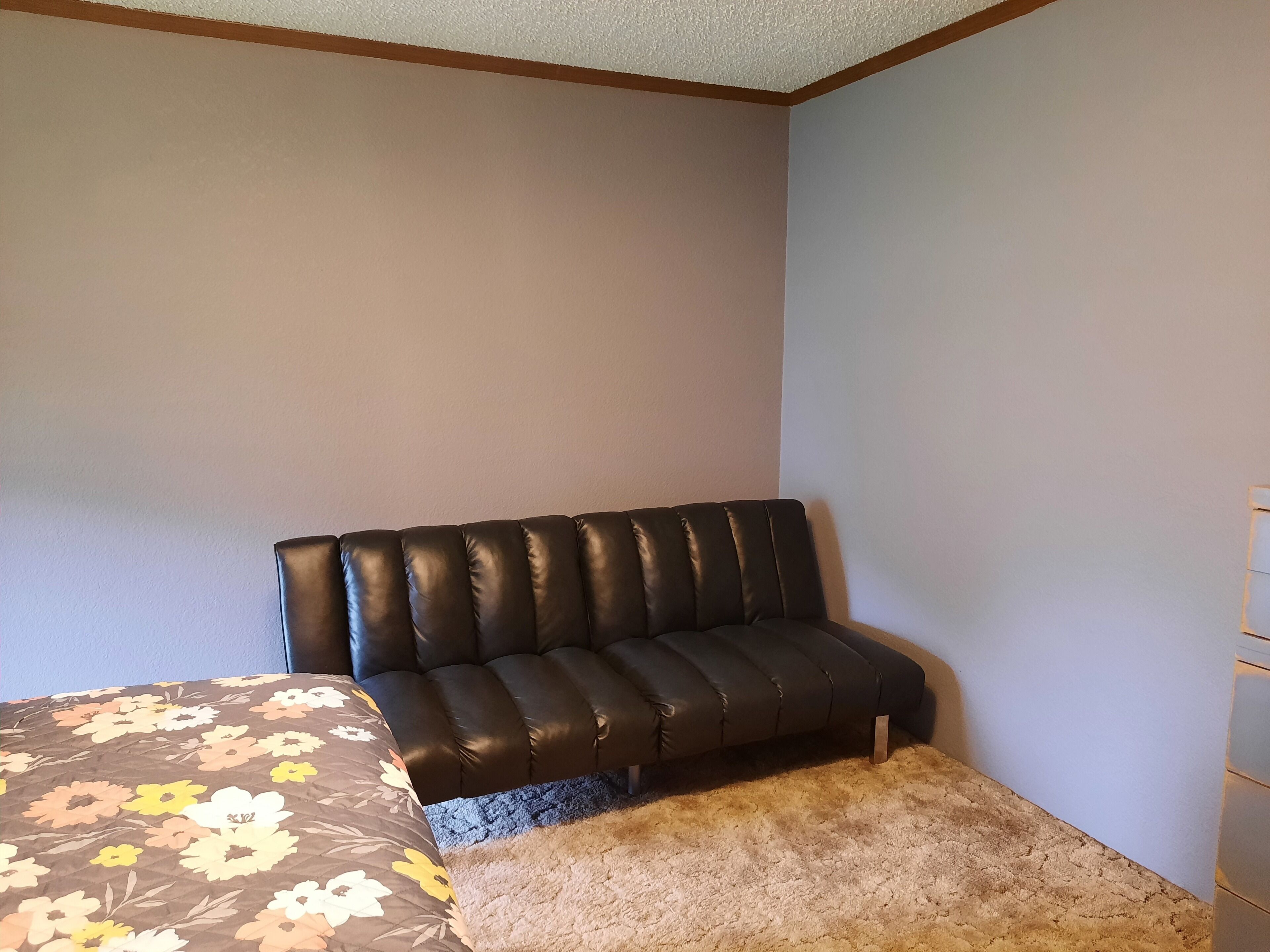 Een kamer met een bed, een slaapbank, een klein vloerkleed en een wandlamp.