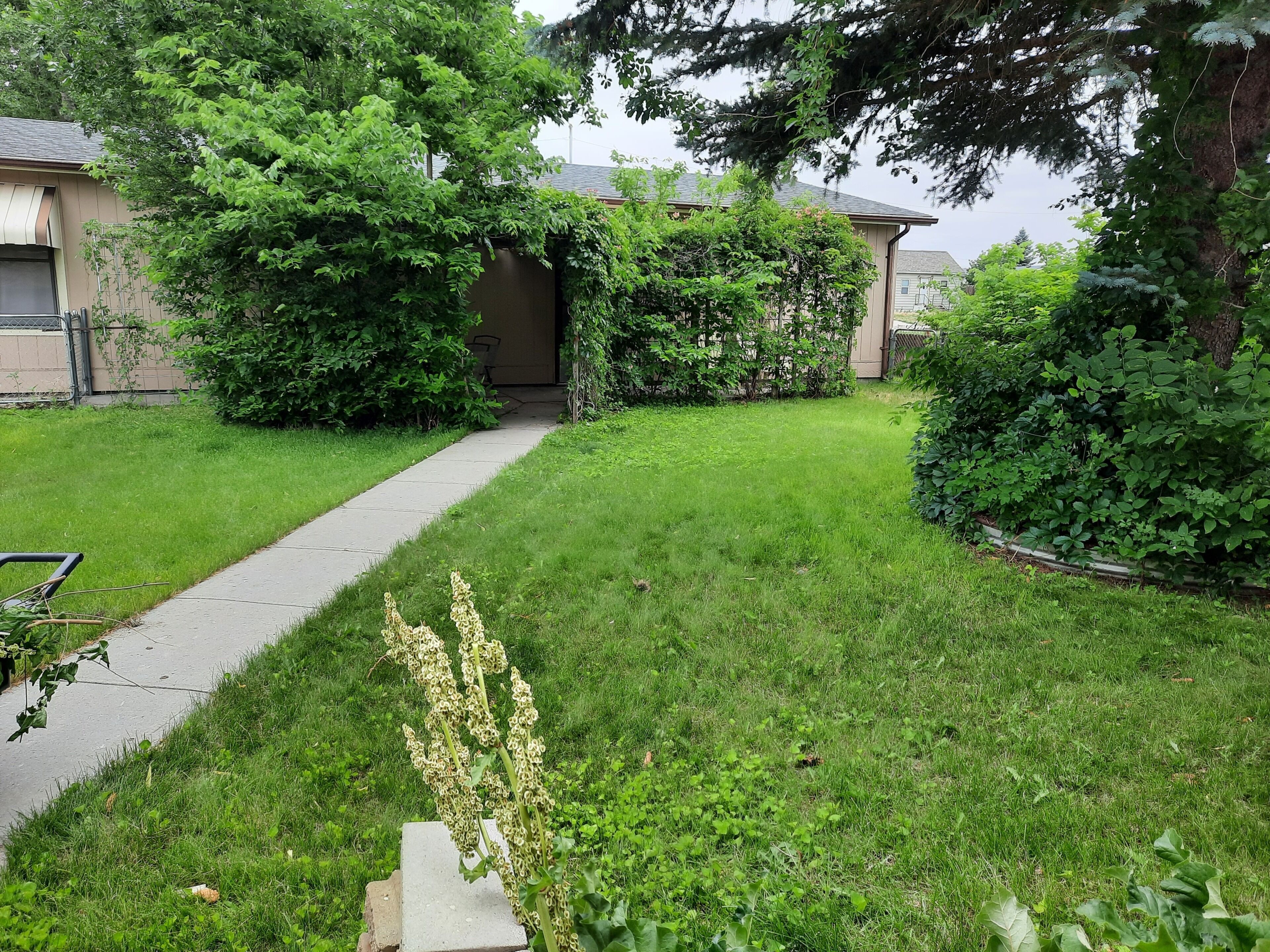 Áreas de la propiedad