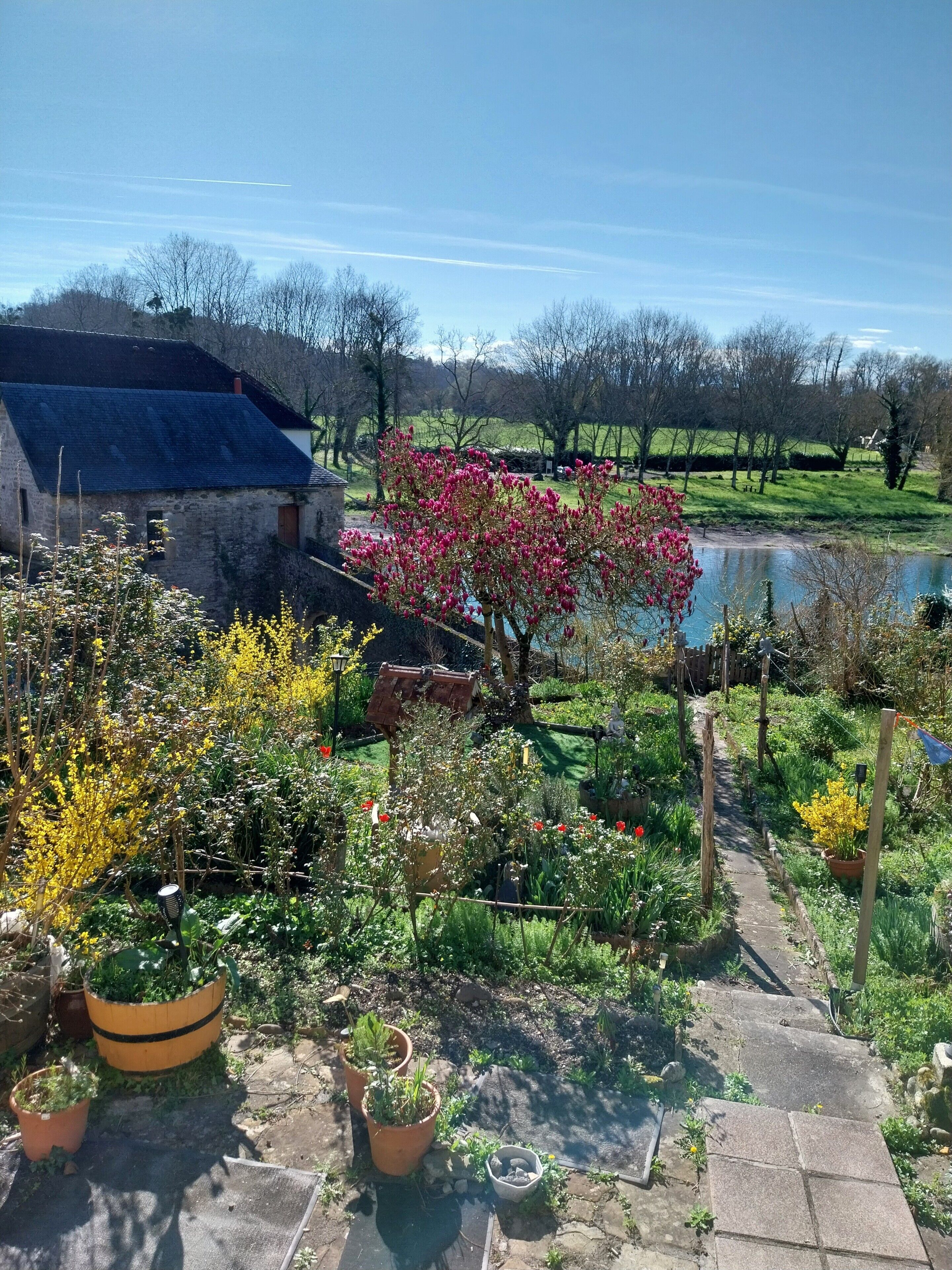 Ein Garten mit Teich, Kiesweg und einem rustikalen Gebäude.