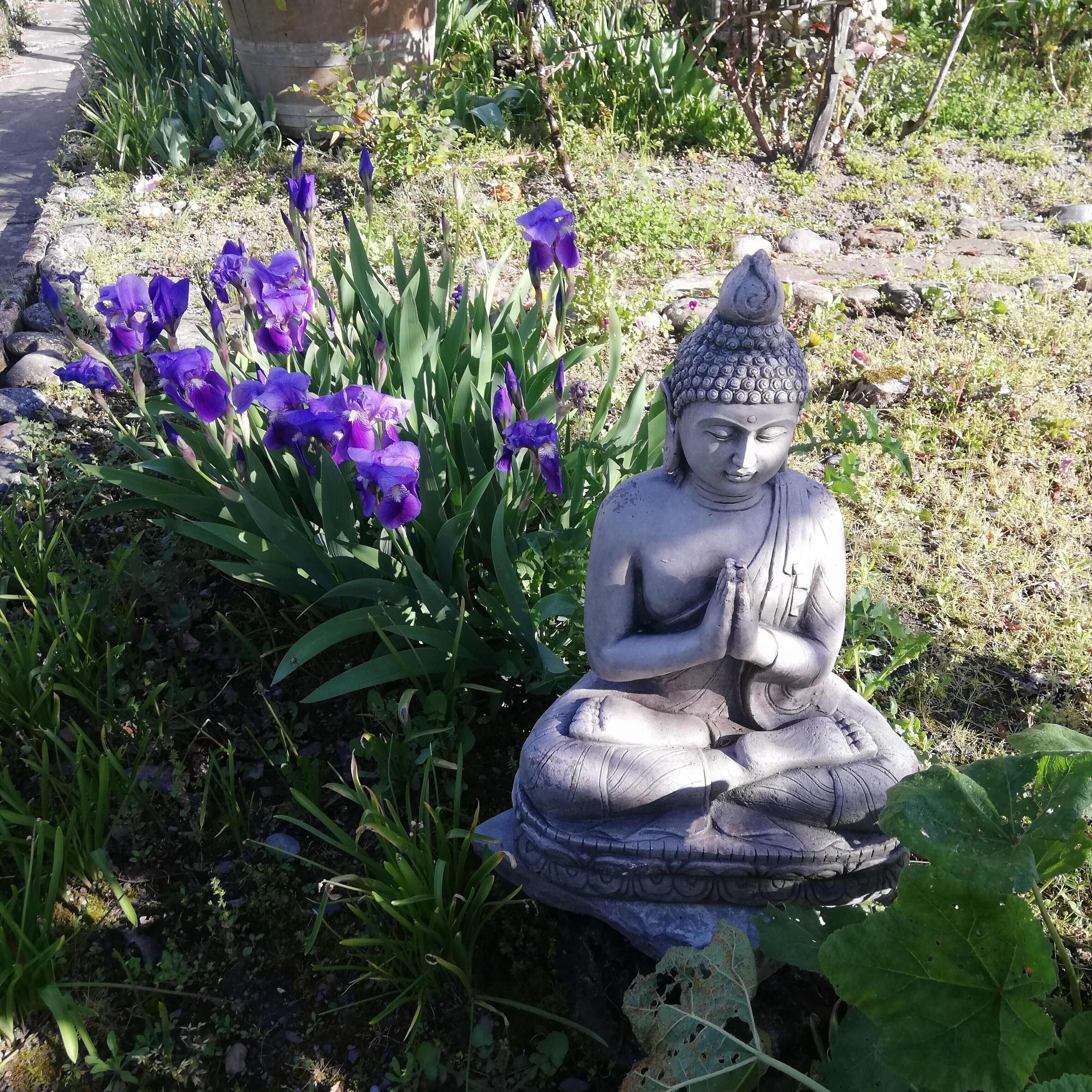 Una estàtua de jardí d'una figura asseguda amb les mans en posició de pregària, envoltada de flors morades i vegetació.