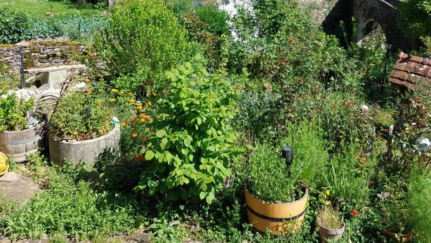 Une maison de campagne en pierre, avec un toit rouge, entourée d’une végétation luxuriante et d’un jardin où poussent diverses plantes et fleurs.