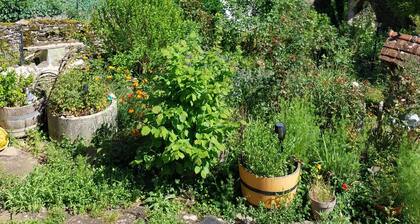 Guest Room 'Chambre Ossau' with Shared Garden and Wi-Fi