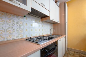 Fridge, oven, stovetop, cookware/dishes/utensils