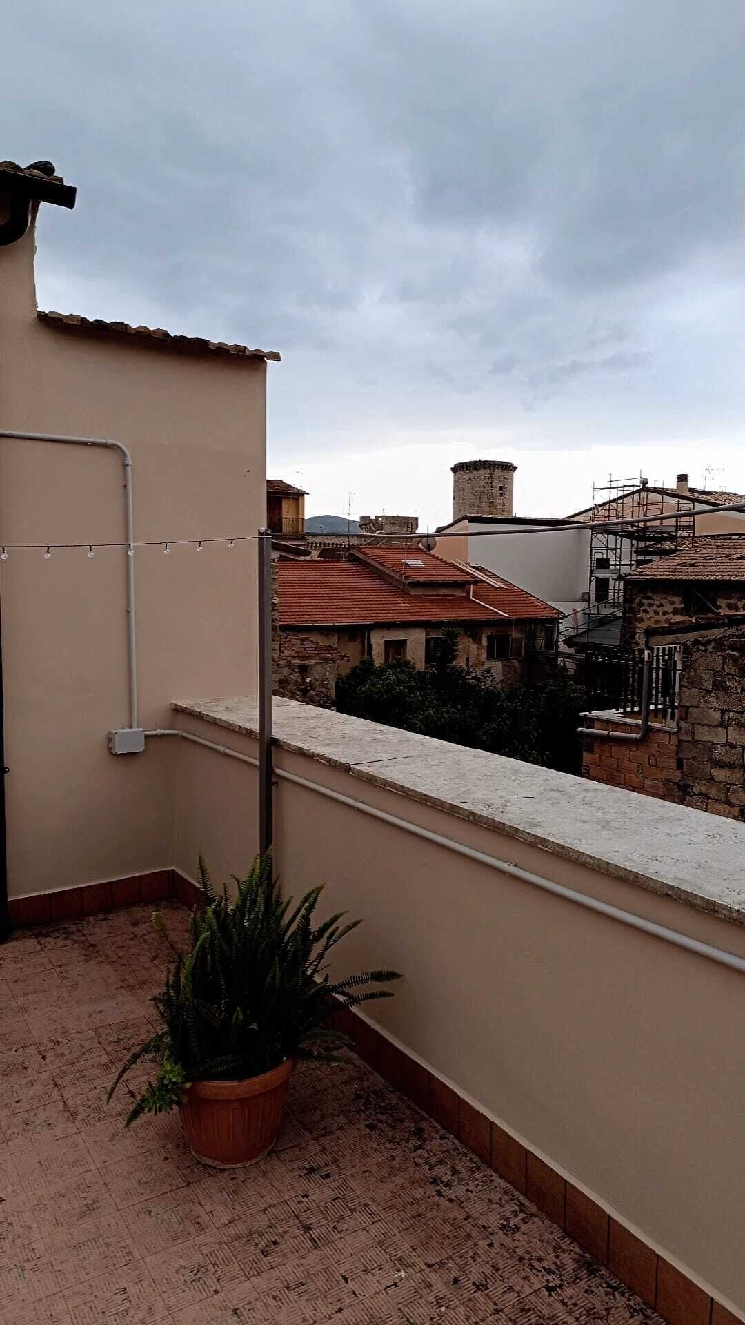 Une terrasse sur le toit, agrémentée de plantes en pot, dotée d’une rambarde en métal et offrant une vue sur de vieux bâtiments.