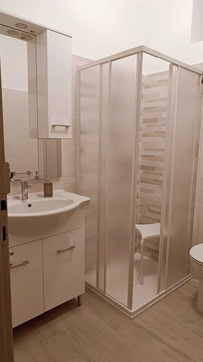 Shower, hair dryer, bidet, towels