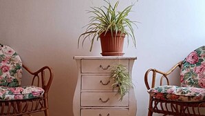 A room with a white dresser, two wicker chairs with floral upholstery, and a potted plant on the dresser. - Chanzerhouse (Fondi)