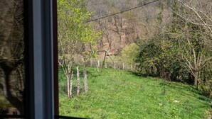 Vista a través de una ventana que muestra un área cubierta de césped, árboles y una colina al fondo.