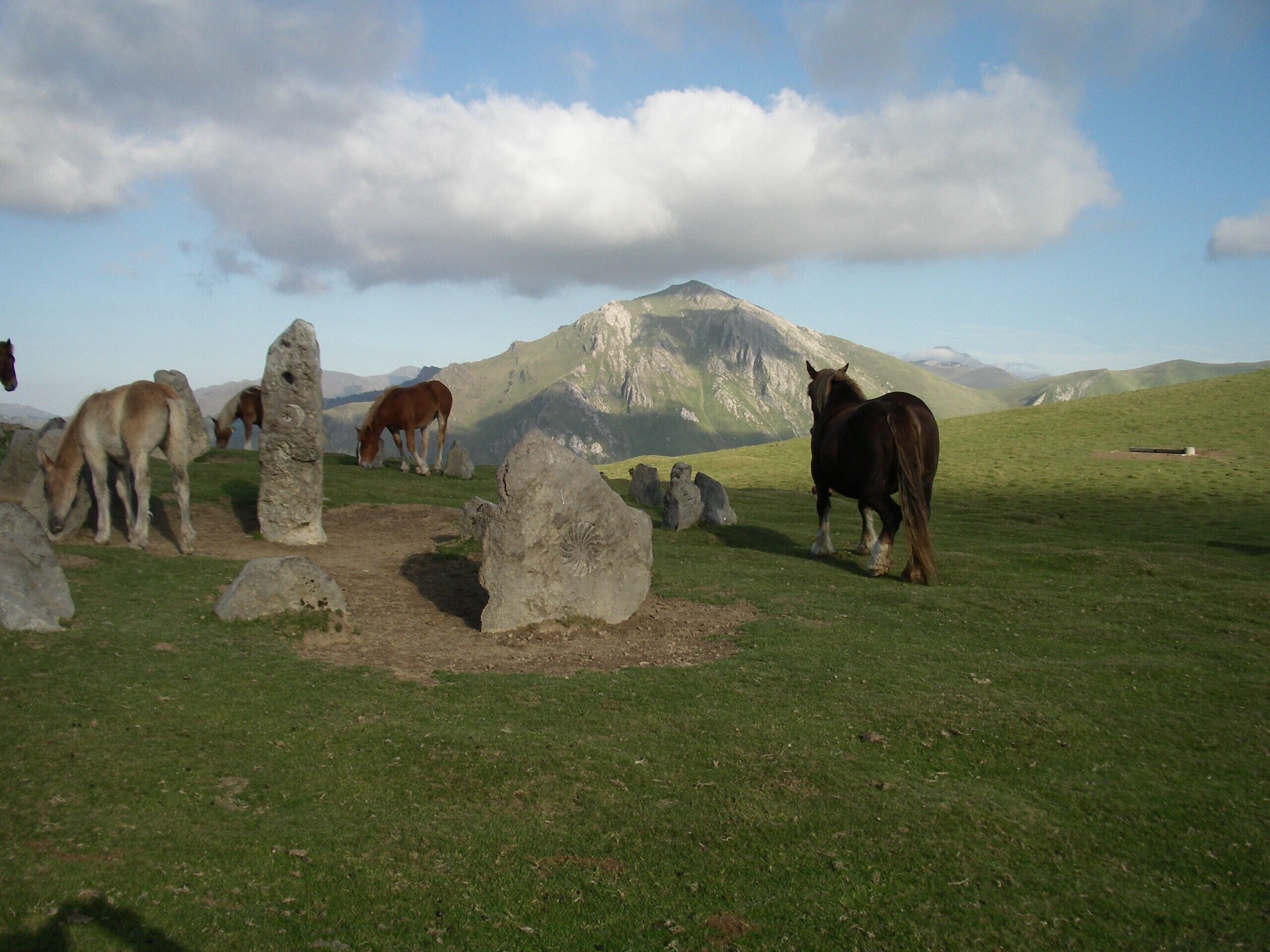 Un campo cubierto de hierba con caballos pastando y grandes rocas dispersas.