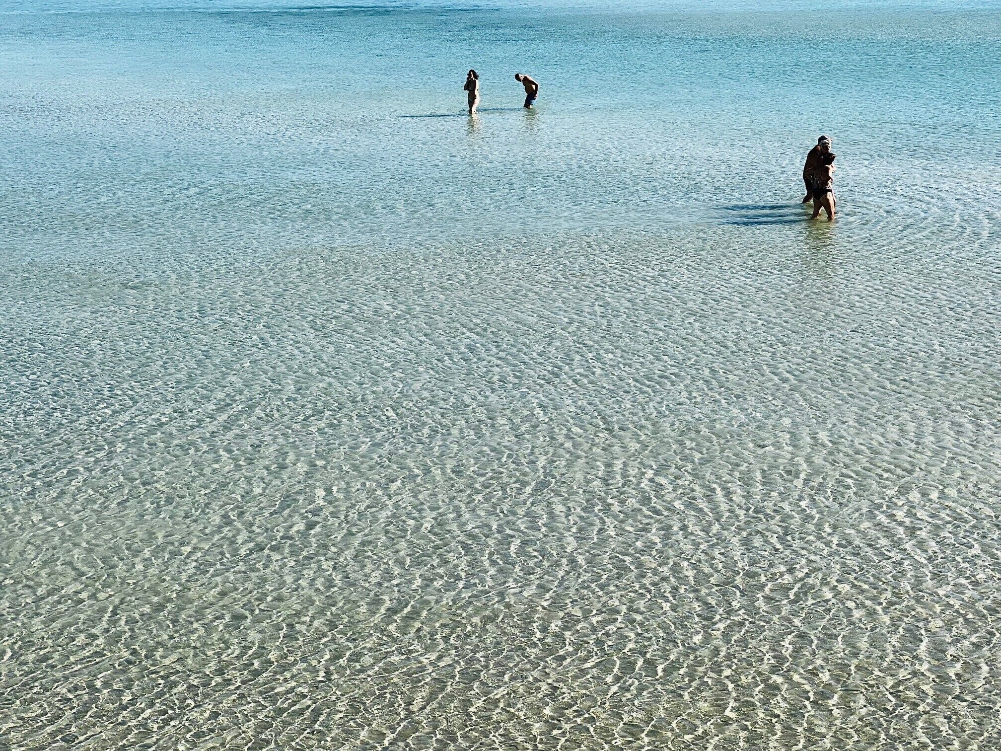 ビーチ