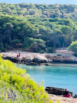 A coastal area with rocky terrain, clear water, and dense greenery.
