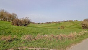 A grassy field with a path and trees. - The Coach House (Dorchester)