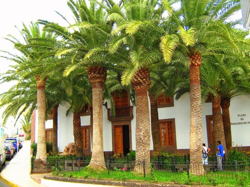 CASA LA PALMERA in the port of Las Nieves