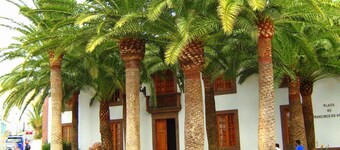 CASA LA PALMERA in the port of Las Nieves