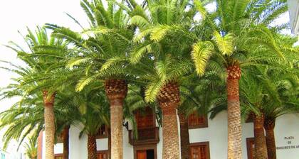 CASA LA PALMERA in the port of Las Nieves