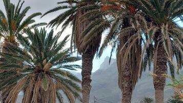 Terrain de l’hébergement