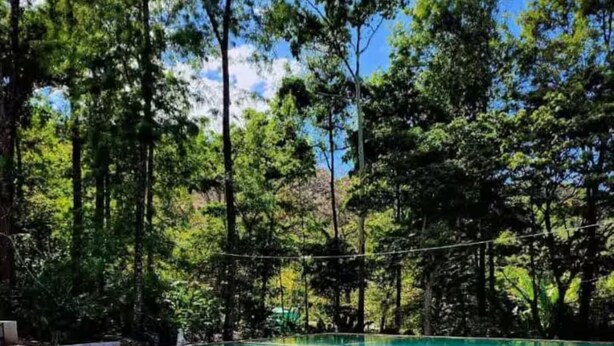 A clear pool surrounded by trees.