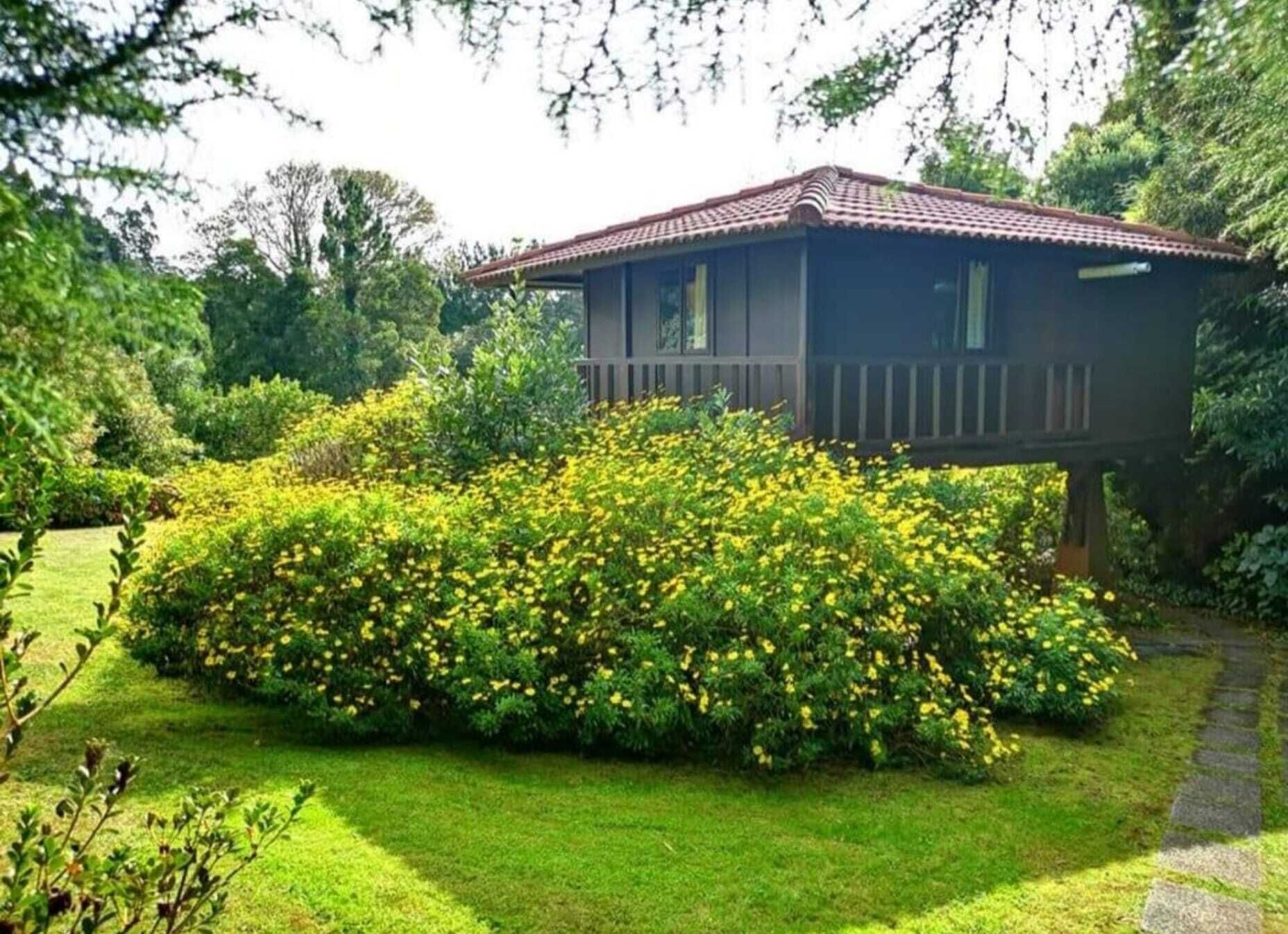 Une maison dotée d’un balcon, entourée d’une végétation luxuriante et d’un jardin bien entretenu.