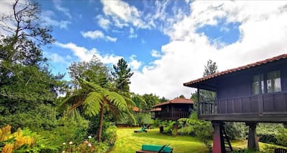 Quinta das Eiras Shelter 4