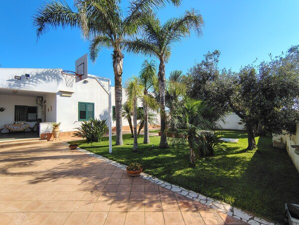 A residential property with a paved driveway, palm trees, and a white building with green shutters.