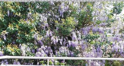 T2 terrace parking facing the Thermes de Borda, quiet 2 steps from downtown