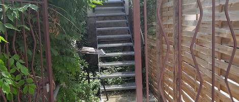 A narrow pathway leading to a staircase, surrounded by greenery and a wooden fence.