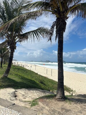 Una playa con palmeras, una orilla de arena y el océano al fondo.