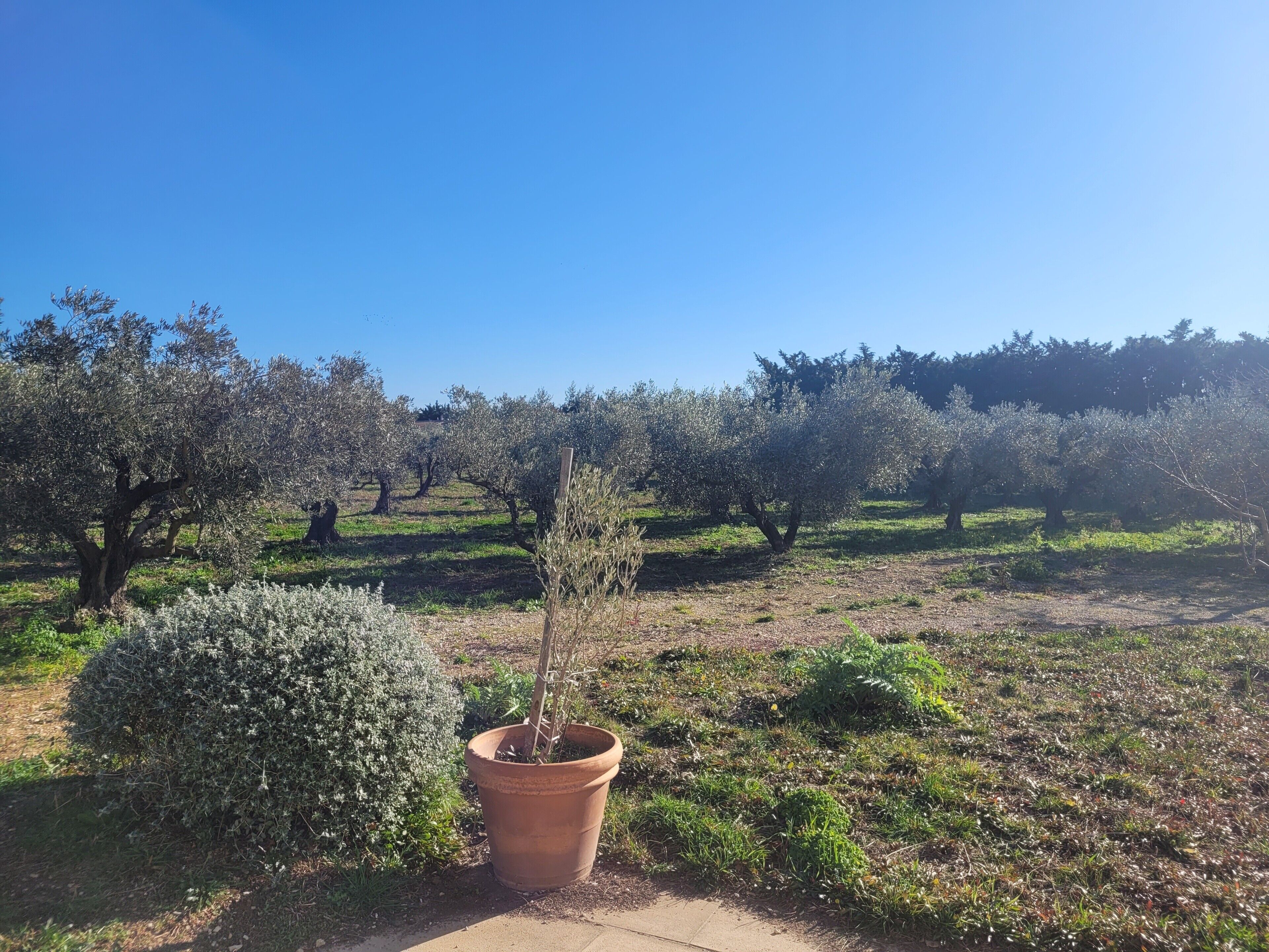 Enceinte de l’hébergement