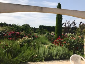 Terrassa o pati