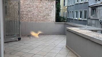 Classic-Zimmer | Terrasse/Patio