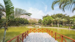 Un puente con un paseo adoquinado que lleva a un estanque, rodeado de palmeras y una montaña al fondo.