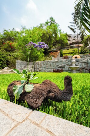 Property grounds - Casa Solaya : Villa with garden, sun and nature : Chaclacayo (Lurigancho-Chosica)